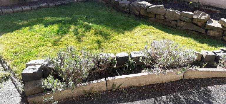 Lawn cutting 