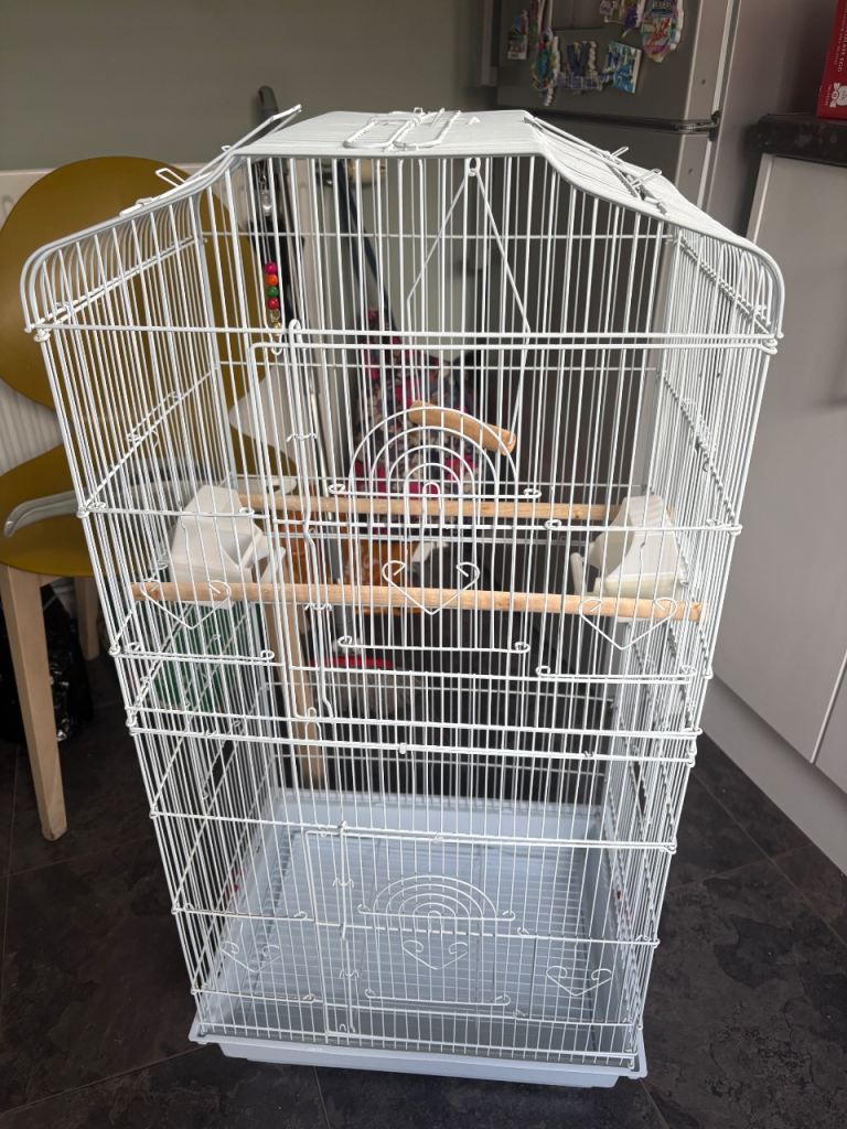 White birdcage 