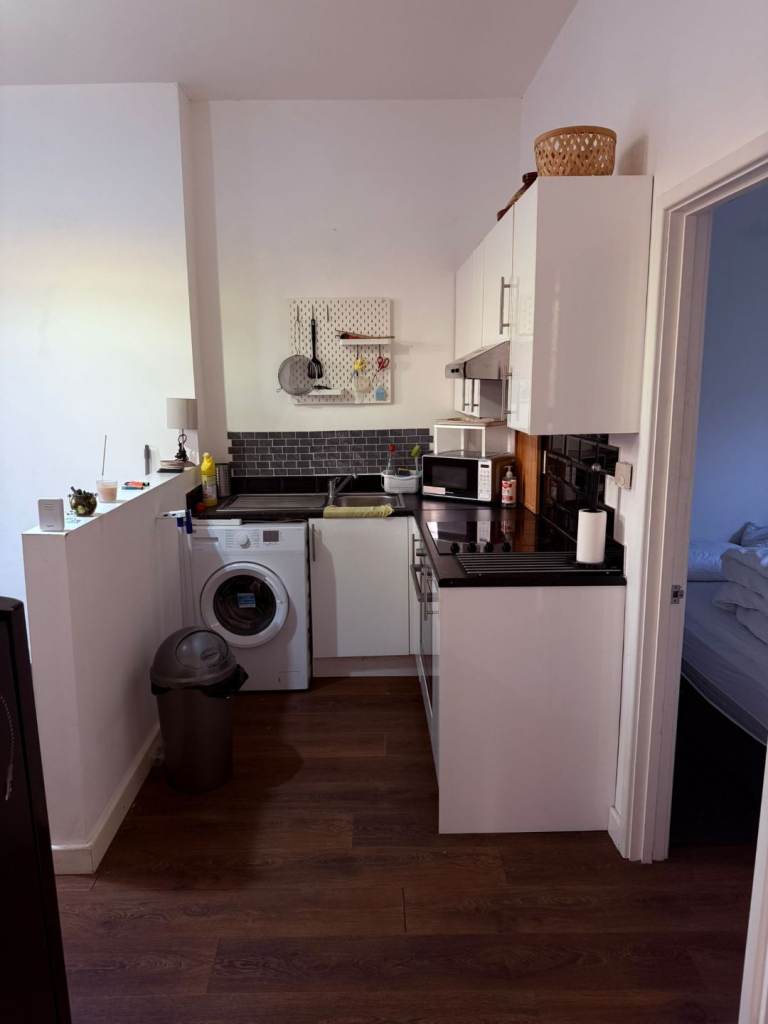 Cosy and brighy 1 BR garden flat near Maryland station with some bills 