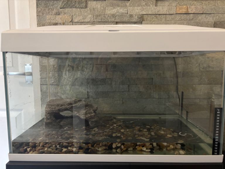 White Glass Aquarium Fish Tank with Stand