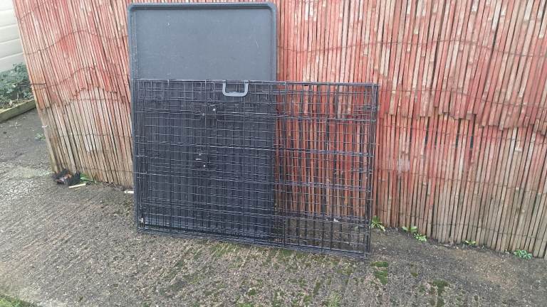 Large dog cage had my Labrador in it fully grown no problem.