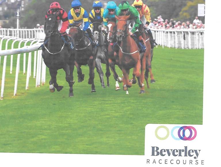 Beverley races ladies day
