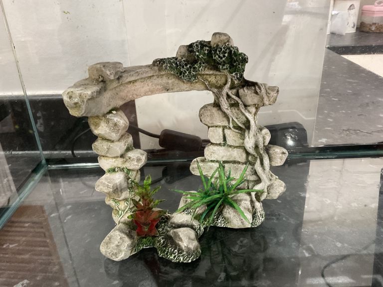 60L Fish tank