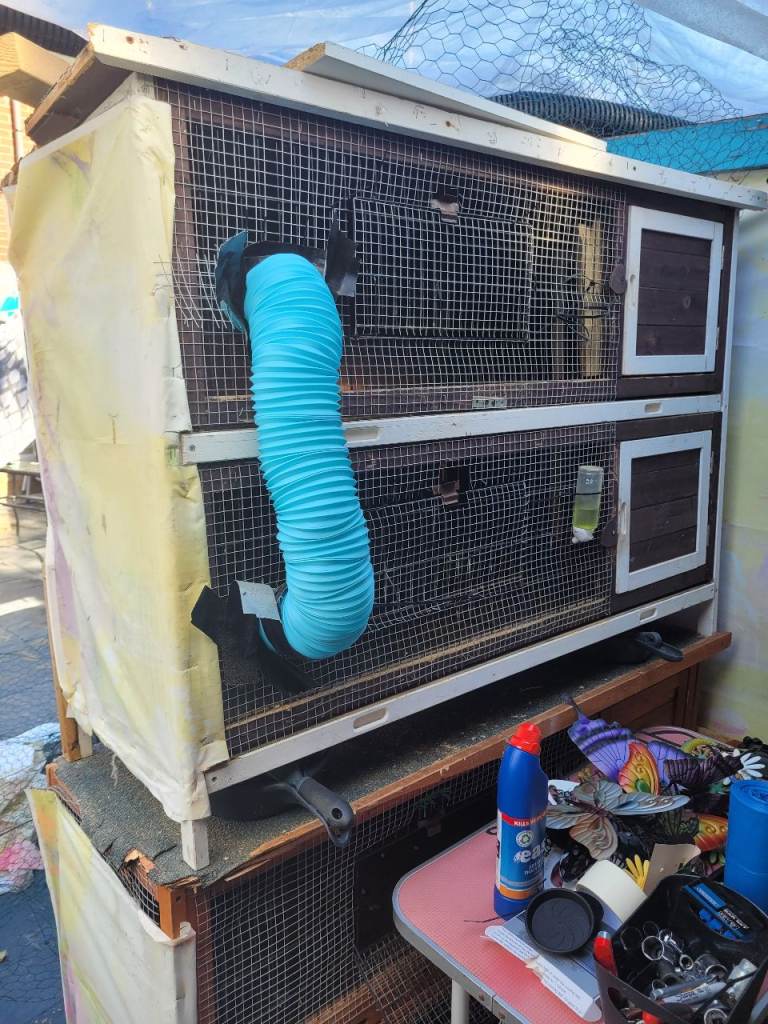 2 huts free, pick up only