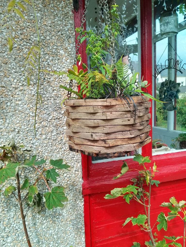 JPS- Special Hanging basket 🧺 jarassic 