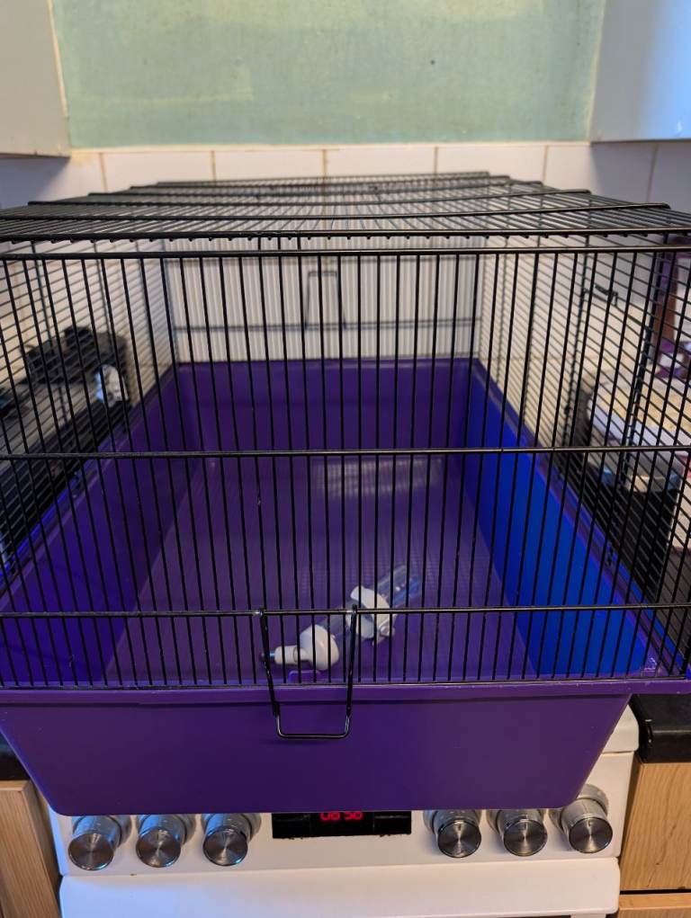 Hamster cage 