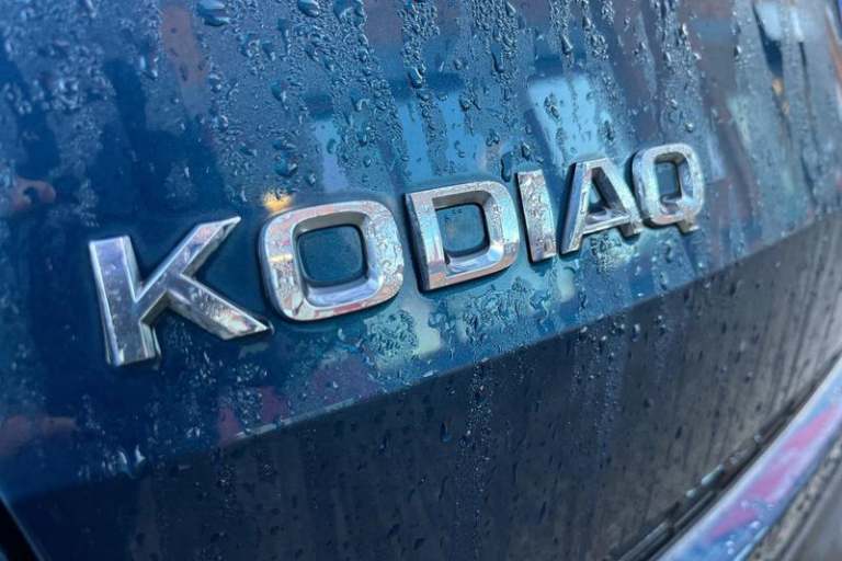 2019 Skoda Kodiaq 1.5 TSI Edition 5dr DSG [7 Seat] ESTATE PETROL Automatic