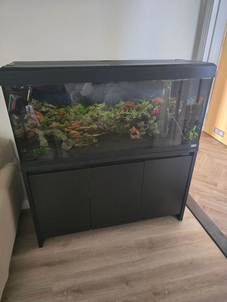 FLUVAL ROMA 240