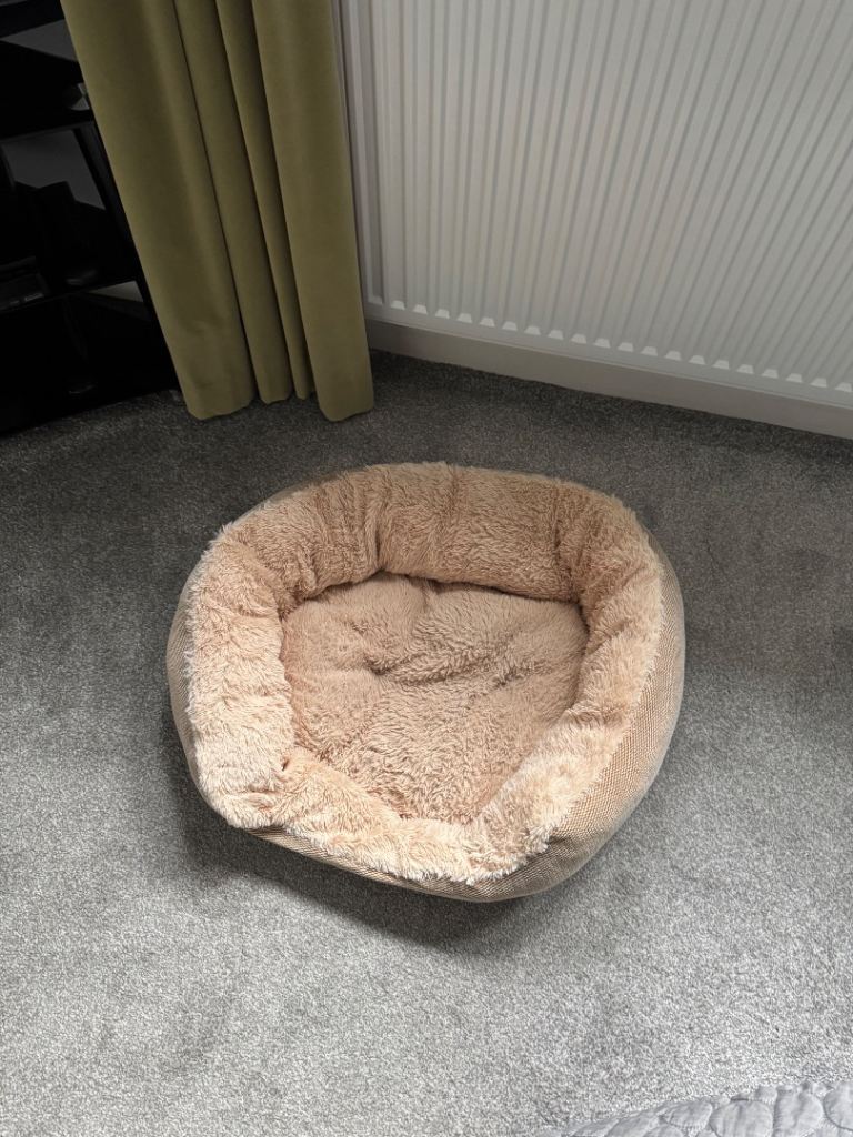 Dog beds 