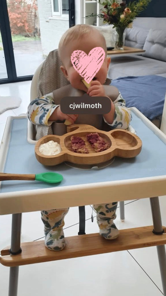 IKEA Antilop High Chair Kit (Bamboo footrest and silicone tray mat)