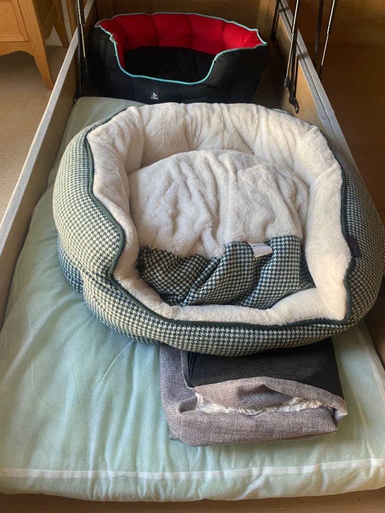 2 small dog beds and a mattresses