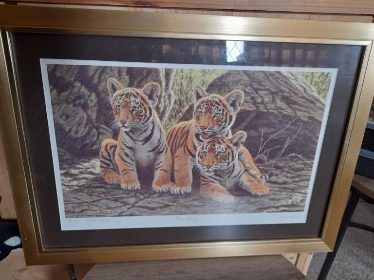 Stephen Gayford Three Amigo's