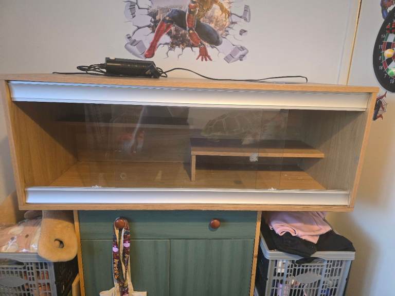 4ft maxi vivarium with accessories 