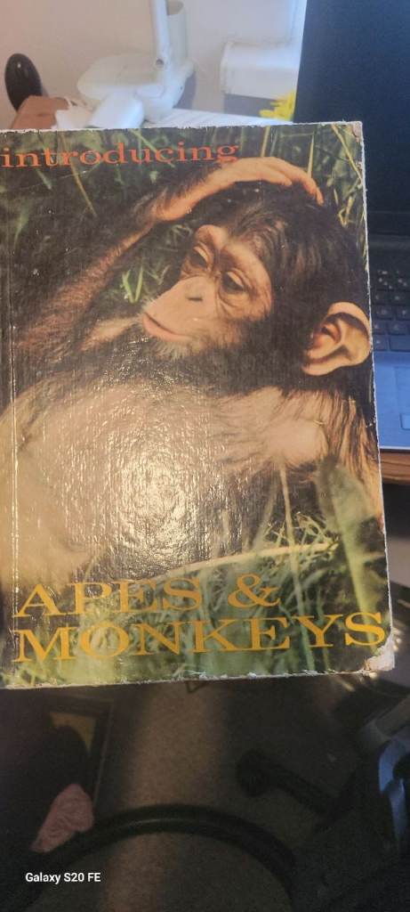 Introducing Apes & Monkeys Book – Good Condition