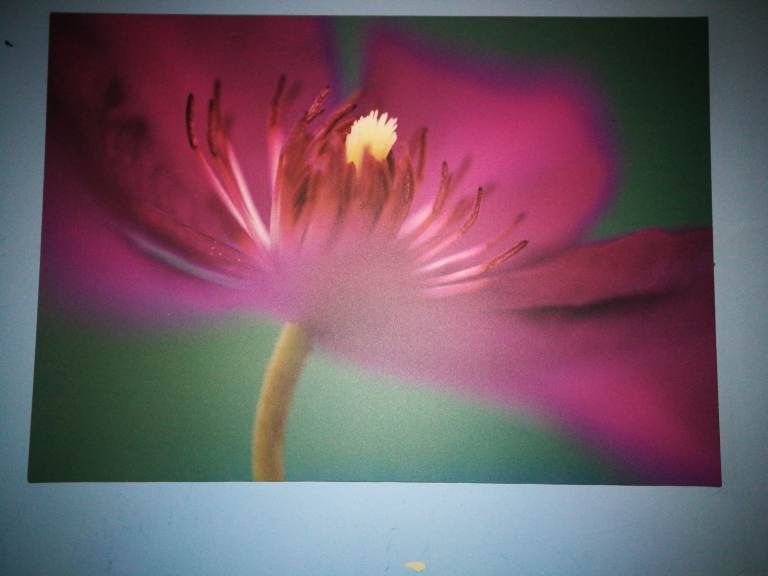 Flower canvas