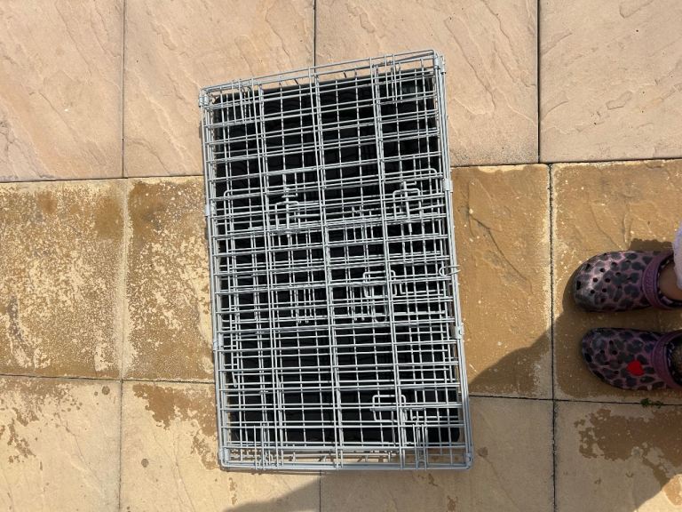 Dog crate 