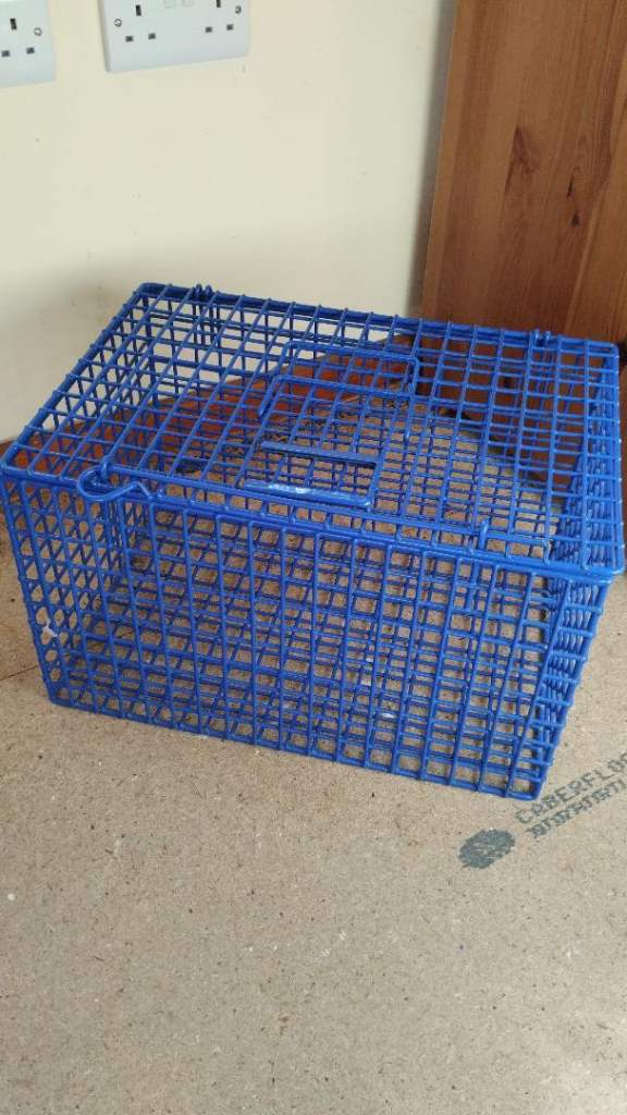 Pet Carrier - Blue powder coated metal