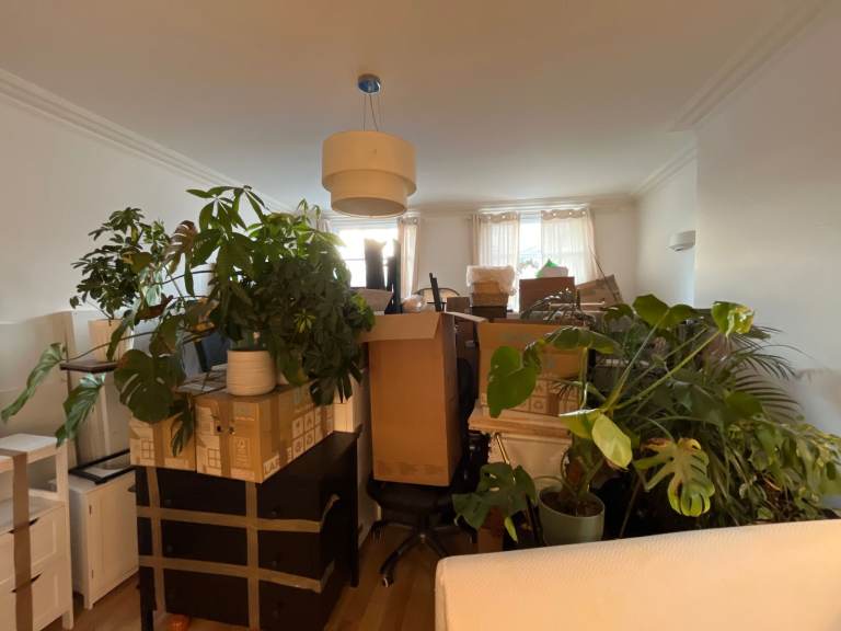 london Removal / man with van 🚛 removal van / van hire 🚛 removal services / moving services 🌍move