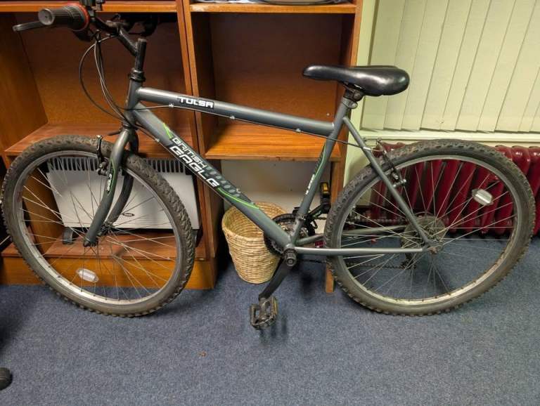 British Eagle Mountain Bike