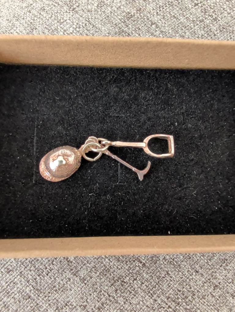 Silver charm