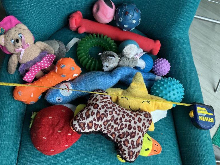 Toys for small dog 