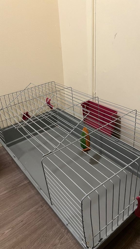 Guinea pig cage