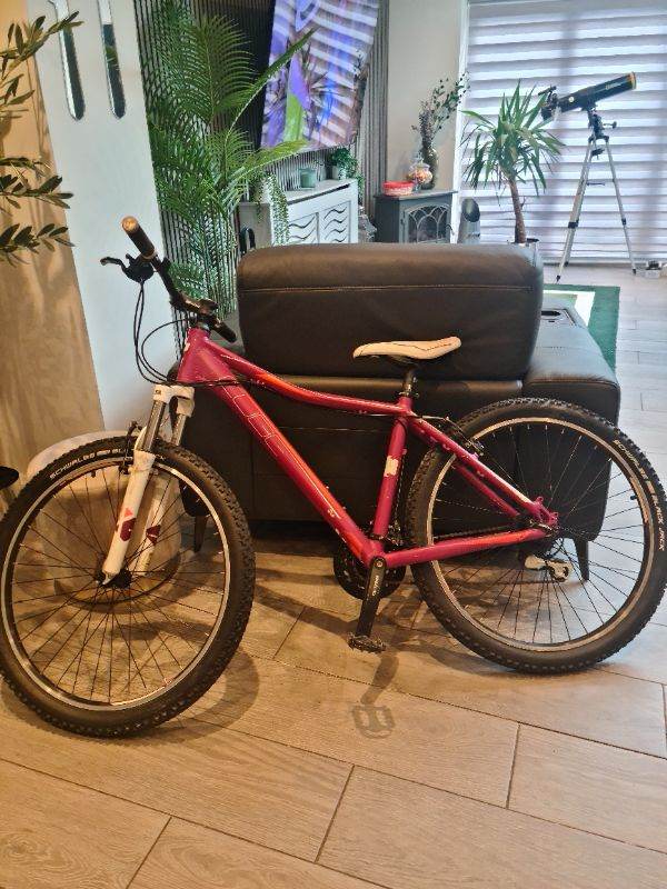Cube mountain bike