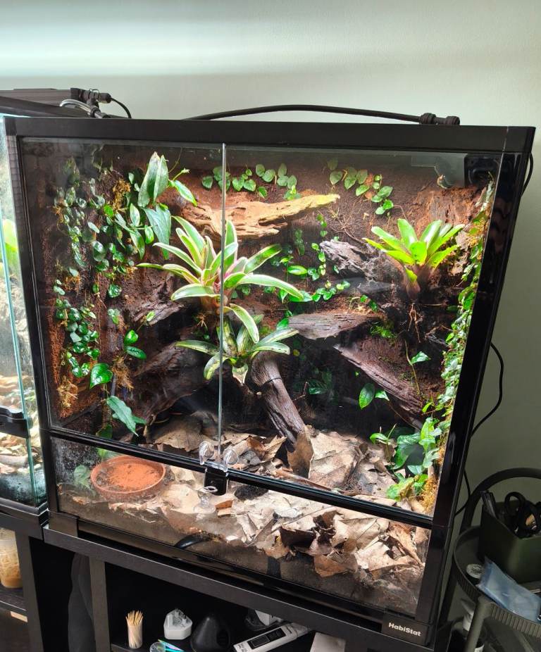 Habistat Bioactive Terrarium 60x45x60