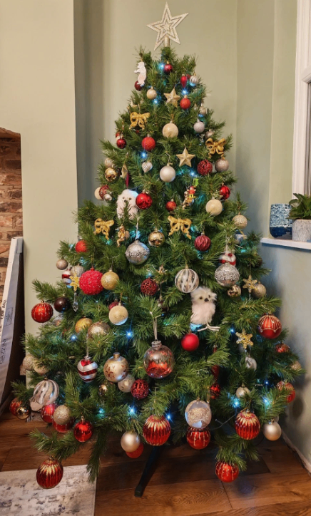6ft Artificial Christmas Tree