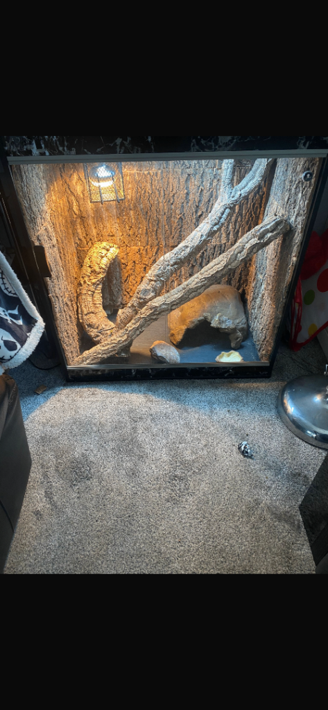 Vivarium 