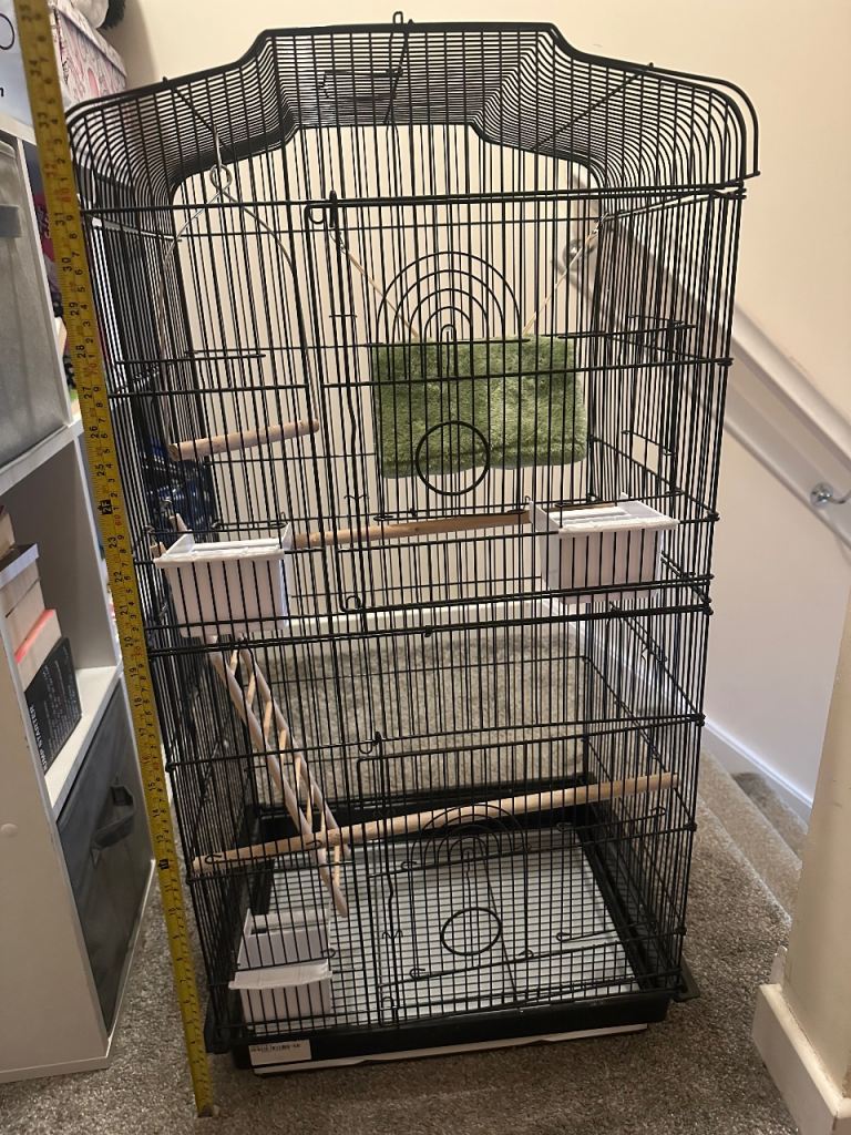 Bird cage 