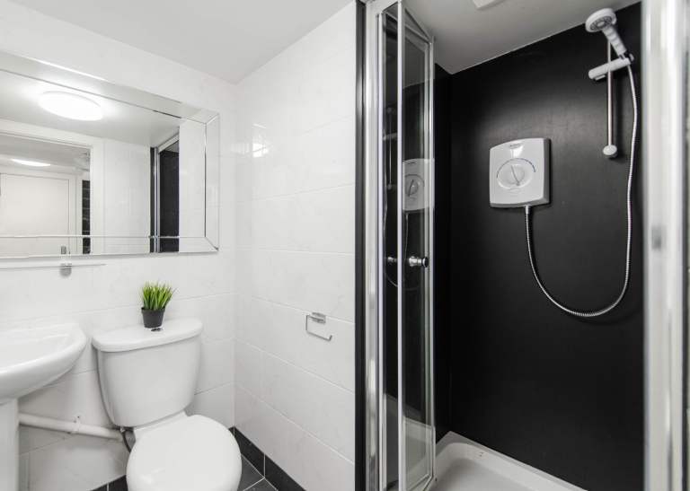 Beautiful Bedsit to Rent in M30