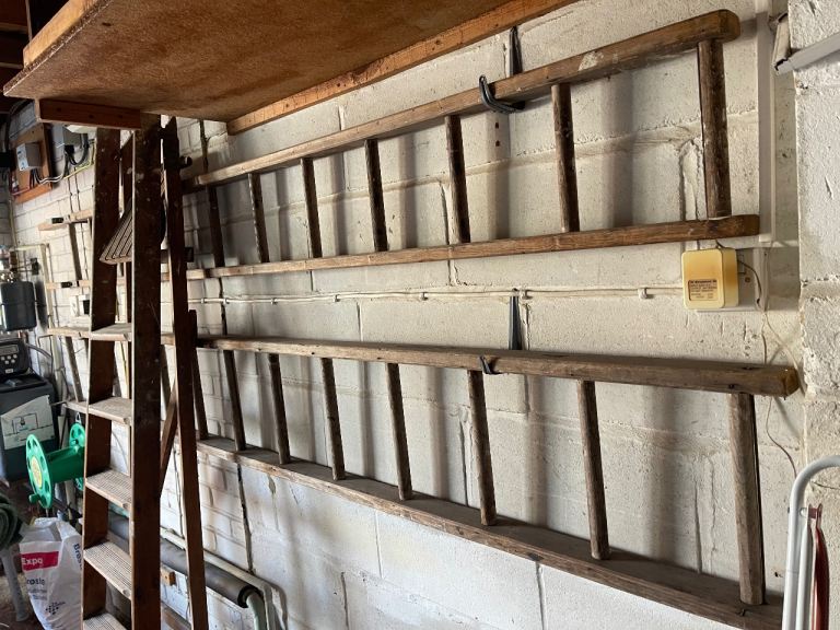 Extendable ladder free can deliver