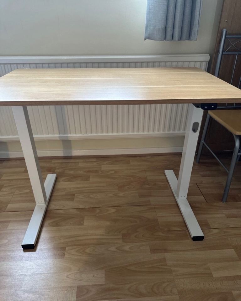 FLEXISPOT Electric Standing Desk (100x60cm)