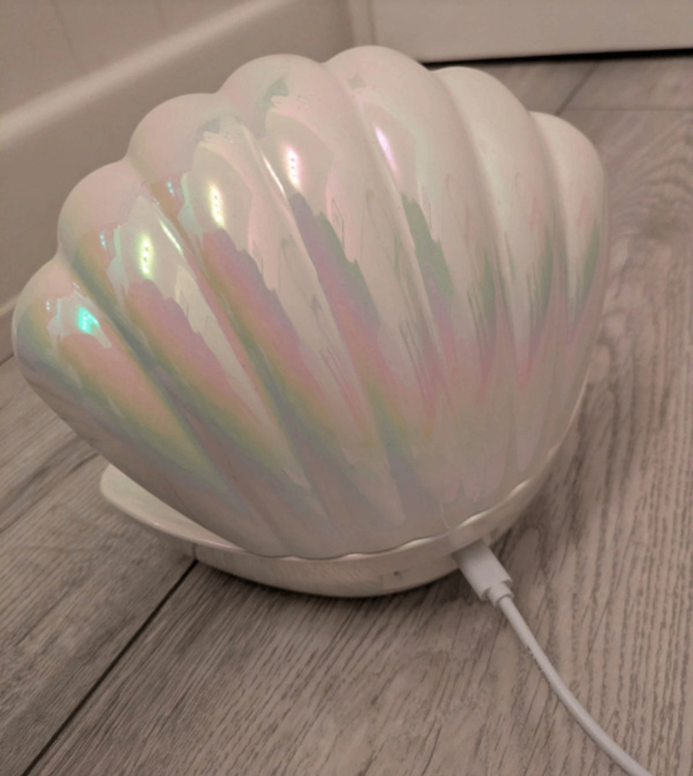 Decorative shell glitter light 