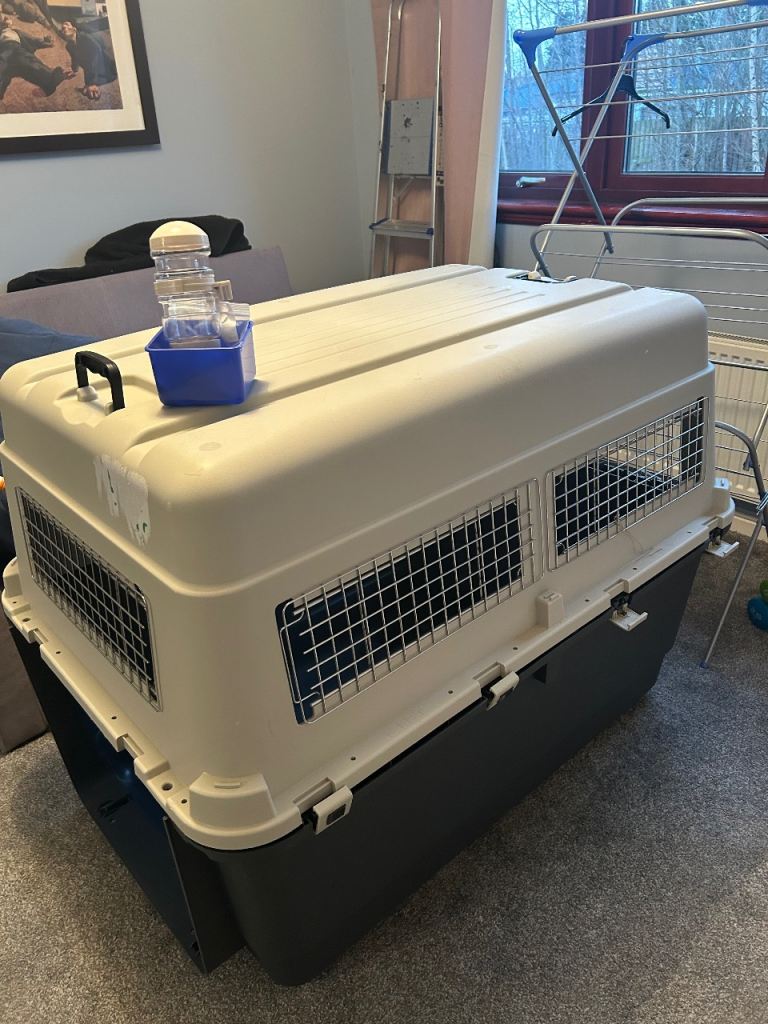 XL heavy duty dog crate