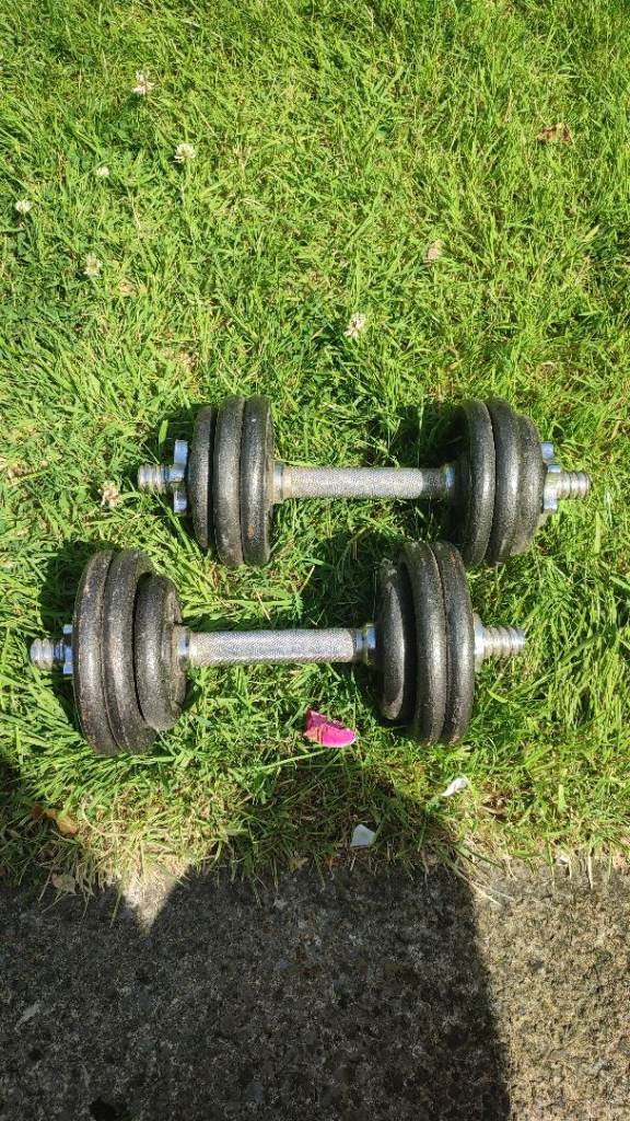 Pro Power Dumbbells – Pair. 