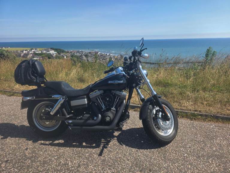 Harley-Davidson, DYNA FAT BOB, 2008, 1584 (cc)
