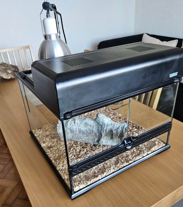 Exo Terra Viv