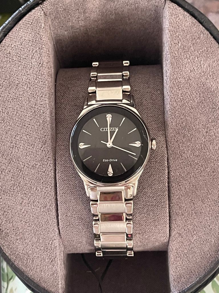 Citizen Ladies' Eco-Drive Axiom Diamond Stainless Steel Watch EM0730-57E