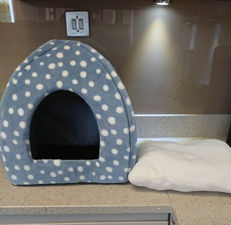 Cat ingloo bed with removable cushion 