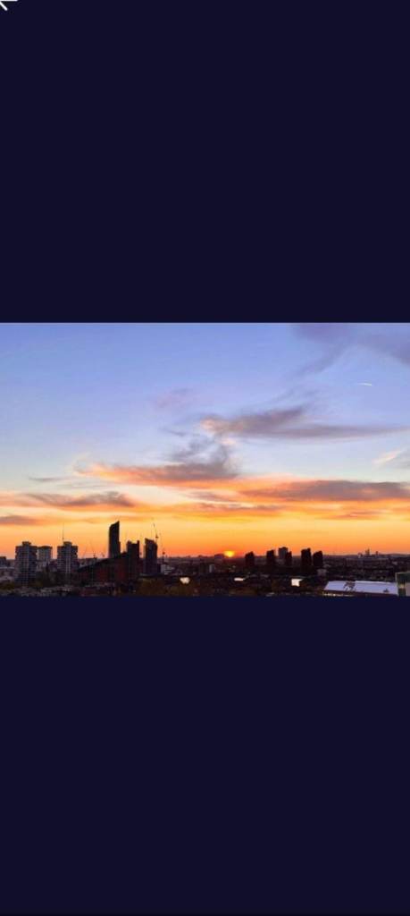 Gorgeous 1 bedroom flat in Battersea ( January to June ) 