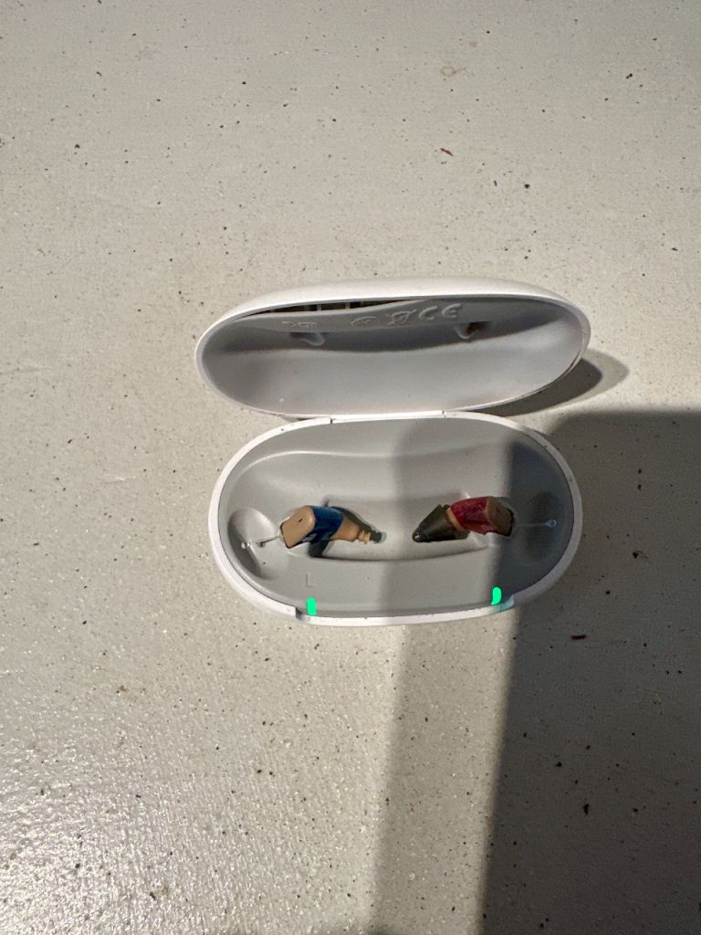 SIGNIA HEARING AIDS