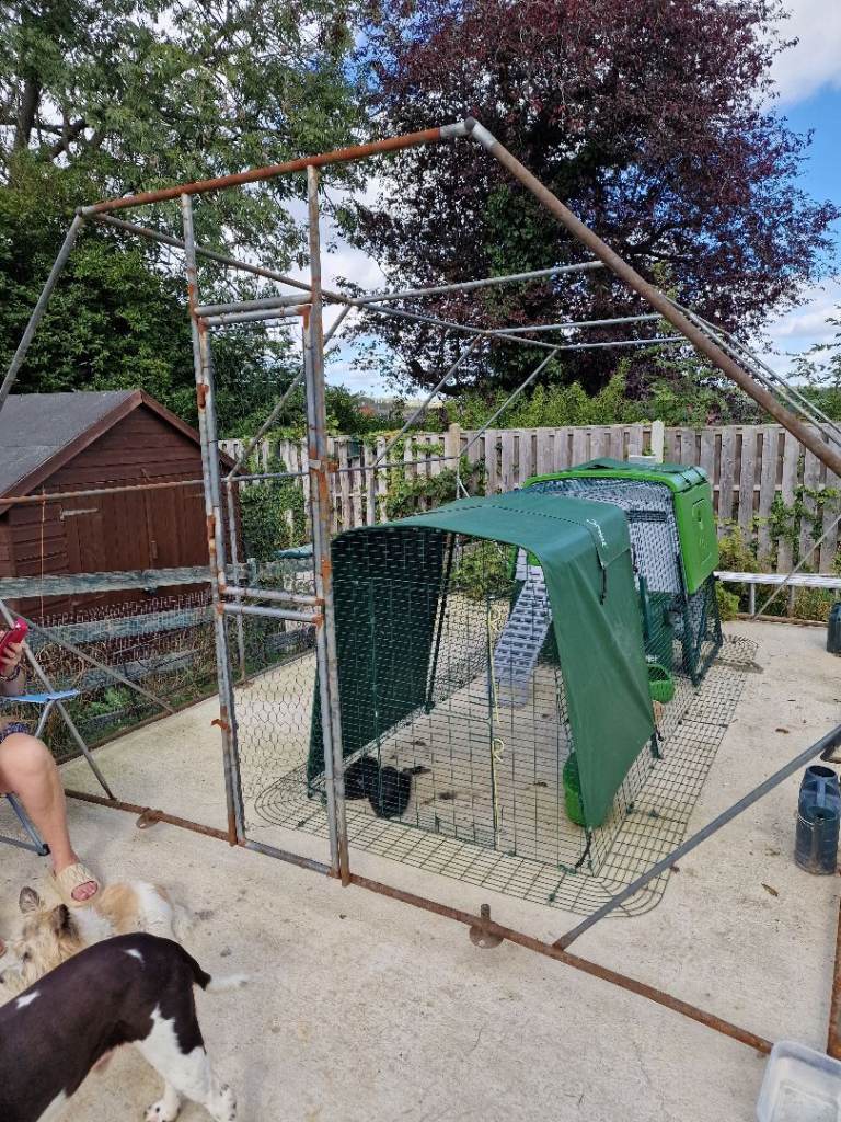12ft coop