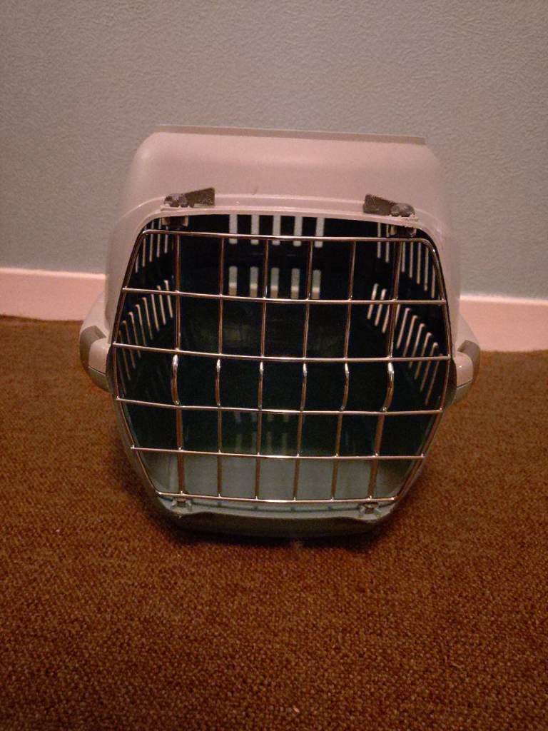 Small pet carrier 