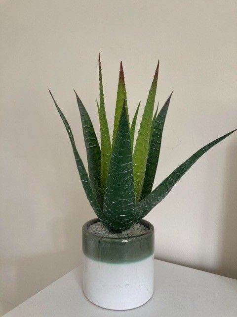 Artificial Aloe Vera Plant in Green and White Pot