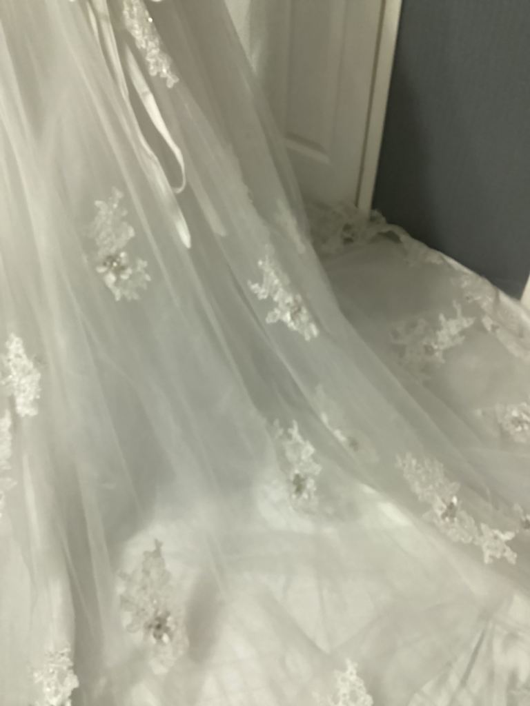 Da- Vinci wedding dress size 8/10 sample dress