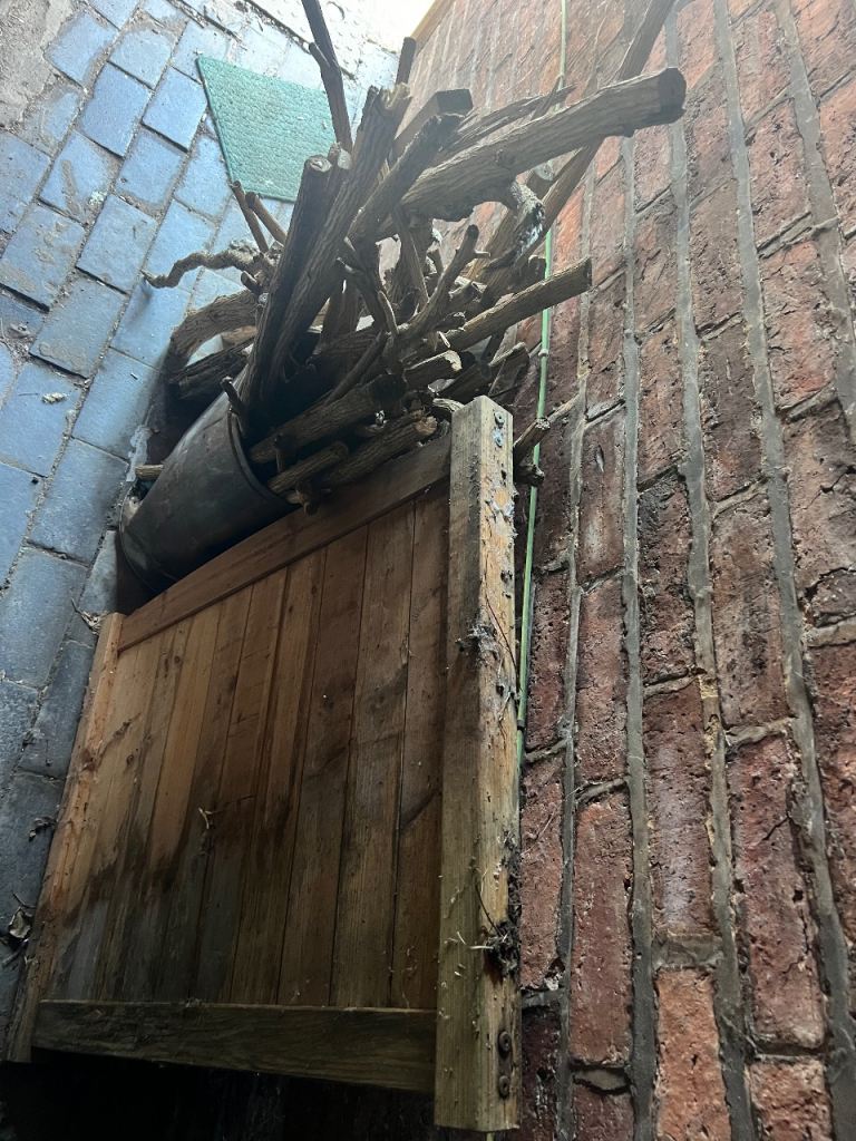 Free to collect wood