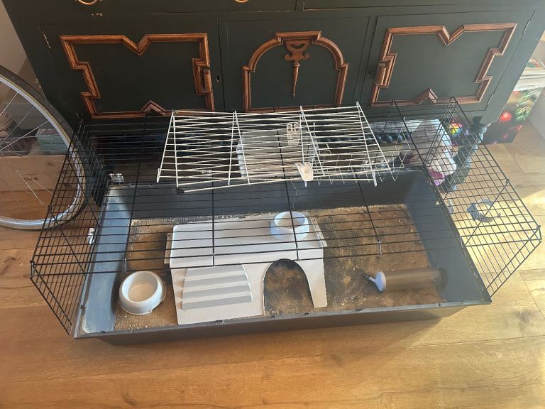 Ginea pig cage