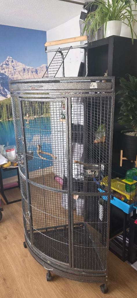 Cage 